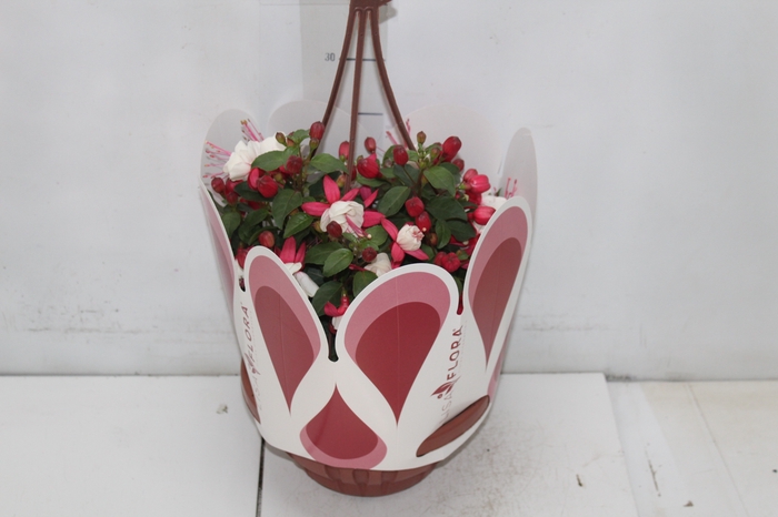 <h4>BRINCO DE PRINCESA C21</h4>