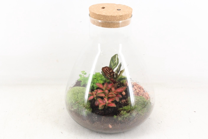 <h4>arr3 WR - Terrarium Erlenmeyer large LED</h4>