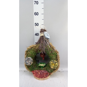Decoratie  ..Vogelzaadfiguur  H%