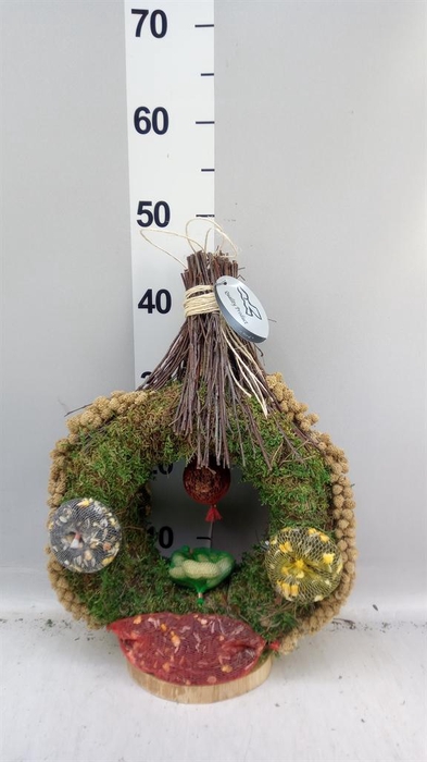 <h4>Decoratie  ..Vogelzaadfiguur  H%</h4>
