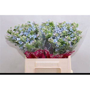 OXY CO TAN PURE BLU 40 CM X50