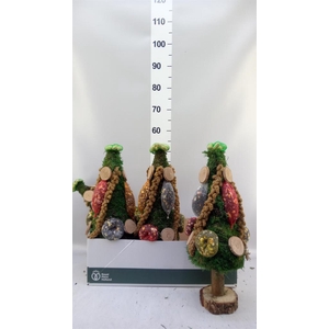 Decoratie  ..Vogelzaadfiguur  H%