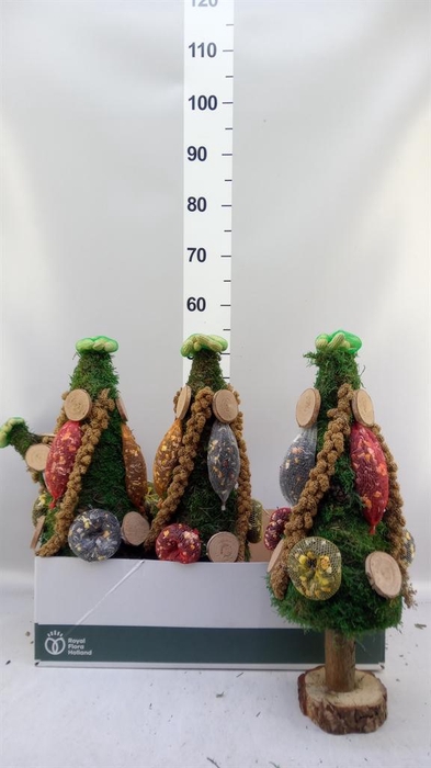 <h4>Decoratie  ..Vogelzaadfiguur  H%</h4>