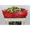 Hypericum Rainbow Romance Spray