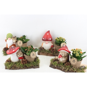 arr2 PL - Ker. herfst deco op plank mix