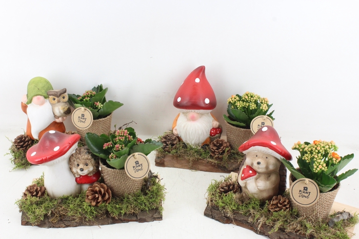 <h4>arr2 PL - Ker. herfst deco op plank mix</h4>