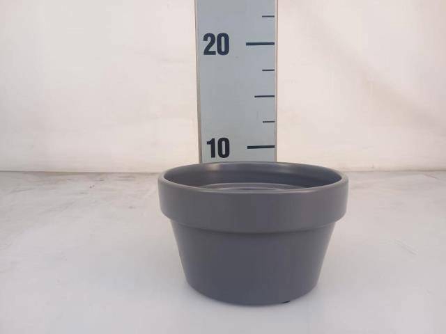 <h4>HUIS EN TUINDECO H%</h4>