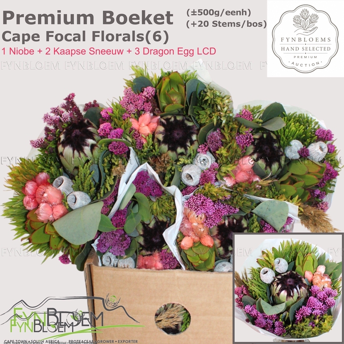 <h4>PROTEA PER BOS</h4>