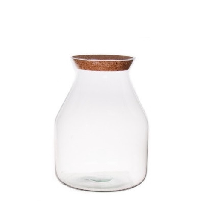 <h4>Glass Terrarium Eco Cas d12.5/19*25cm</h4>