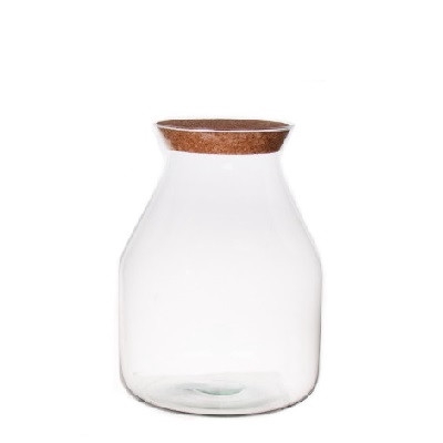 <h4>Glass Eco terrarium Cas d12.5/19*25cm</h4>