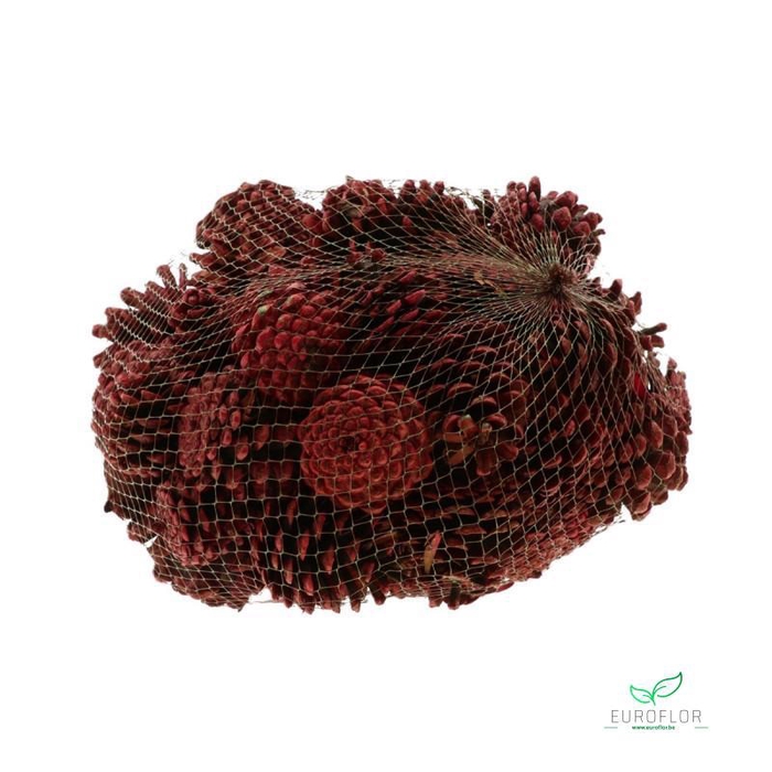 <h4>DENAPPEL OOSTENRIJKERS AUBERGINE 1KG</h4>