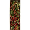 MALUS TAK 50CM