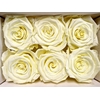 Ro Pres Classic Creme
