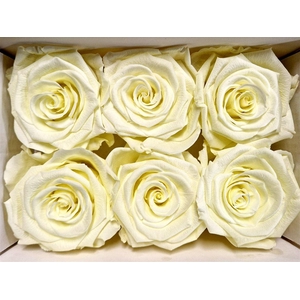 Ro Pres Classic Creme