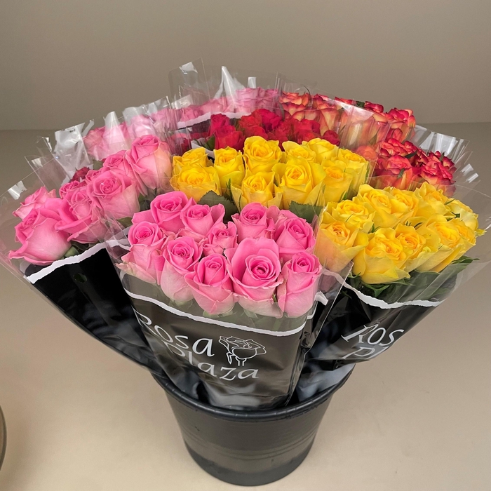 <h4>Bq Mono Roses mix 40 cm SPOTOFFER</h4>