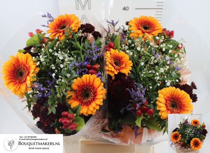 <h4>GEM BOEKET OV</h4>