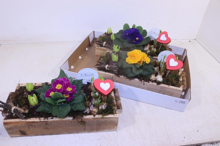 <h4>ARR TUINPLANTEN</h4>