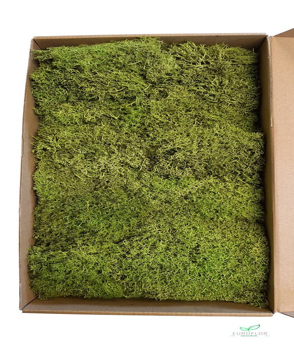 EGELMOS PRESERVED SPRINGGREEN