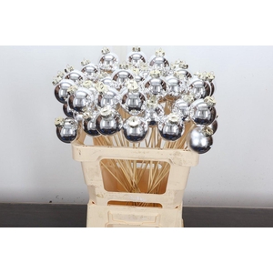 Kerstbal Op Stok Zilver Met Kroon X50