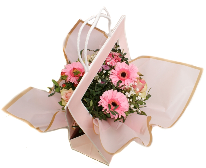 <h4>Aqua tasje roze</h4>