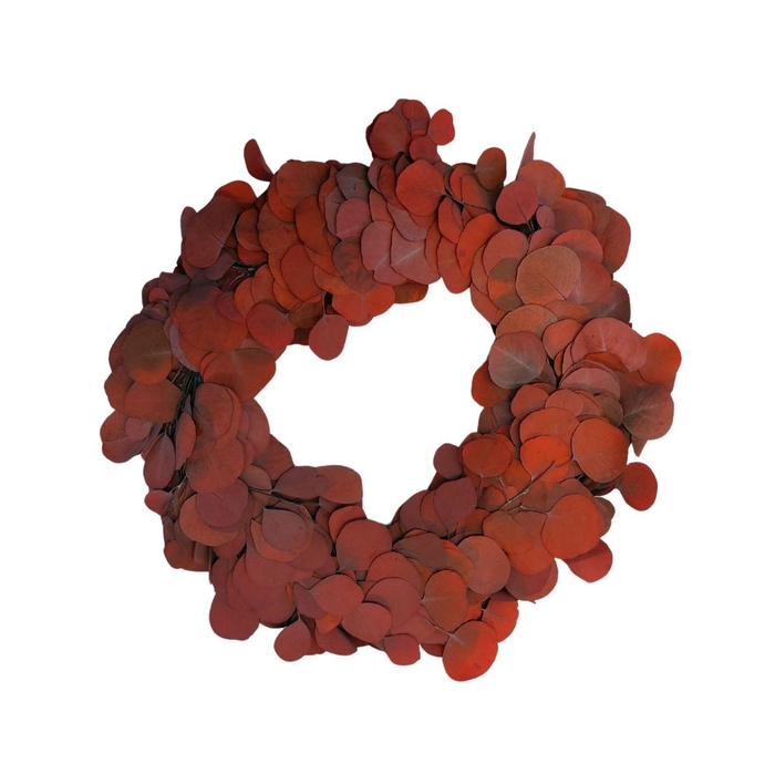 <h4>Preserved Wreath d35cm Eucalyptus Popul.</h4>