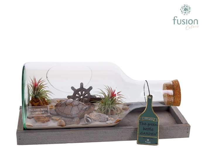 <h4>Green Bottle Fles Small liggend Maritiem met Tillandsia Air Plants</h4>