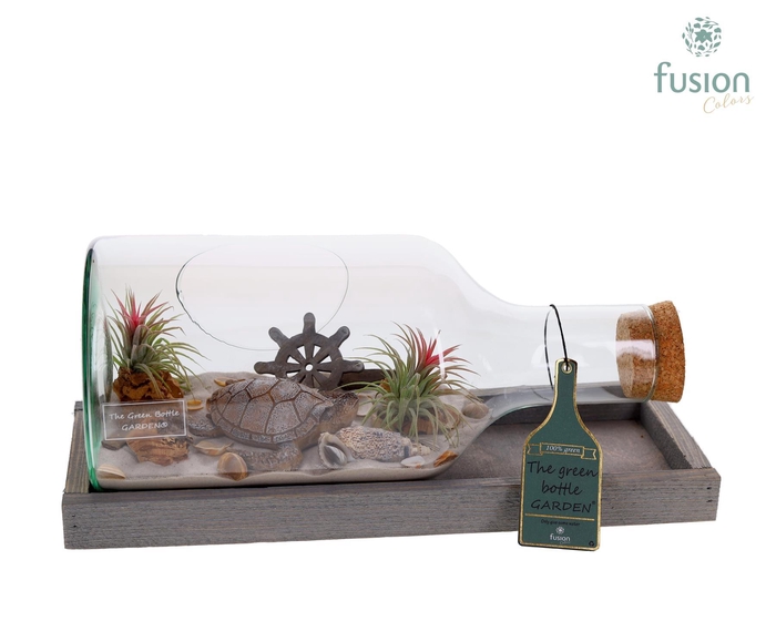 <h4>Green Bottle Fles Small liggend Maritiem met Tillandsia Air Plants</h4>