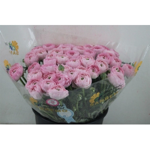 Ran Cloni Sup Confetto San Mauro