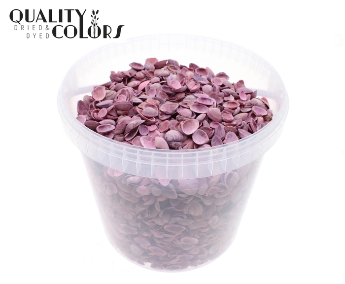 Shells north sea 10 ltr Frosted Pink