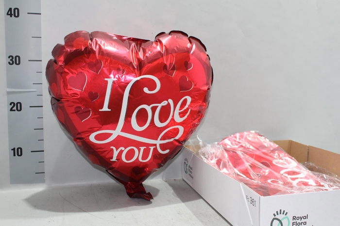 <h4>HUIS EN TUINDECO H%</h4>