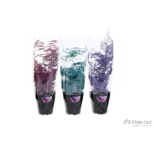 Asp Make-Upz MIx 2 Pink, Aqua en Red
