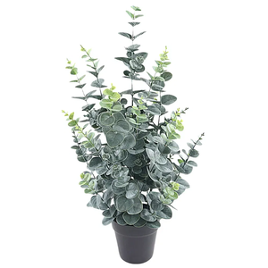 Eucalyptus Plant In Pot Green PP550011GRN