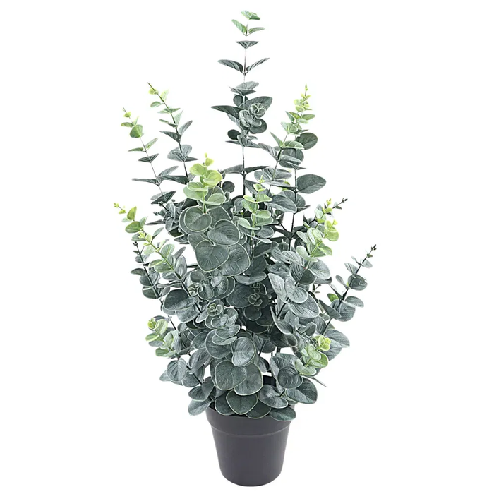 <h4>Eucalyptus Plant In Pot Green PP550011GRN</h4>