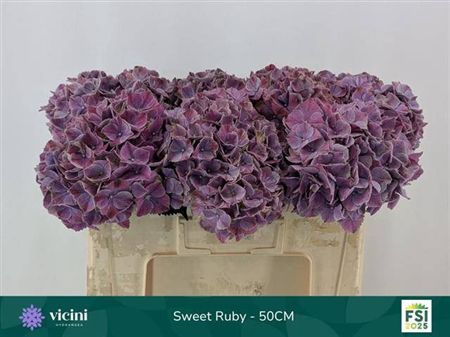 Hydr M Mag Swee Ruby