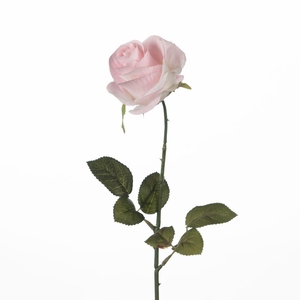 AF Rosa L65cm L.Pink