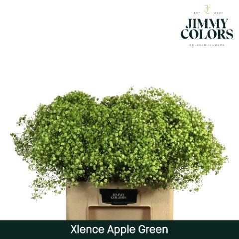 <h4>Gyps Xlence L60 Apple Green</h4>