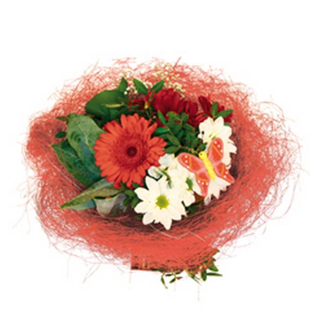 <h4>Bouquet holder sisal round loose Ø25cm red 10pce/bundle</h4>