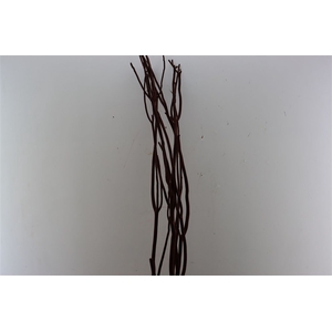 Mitsumata Flaked Brown Bunch 3pcs Bunch