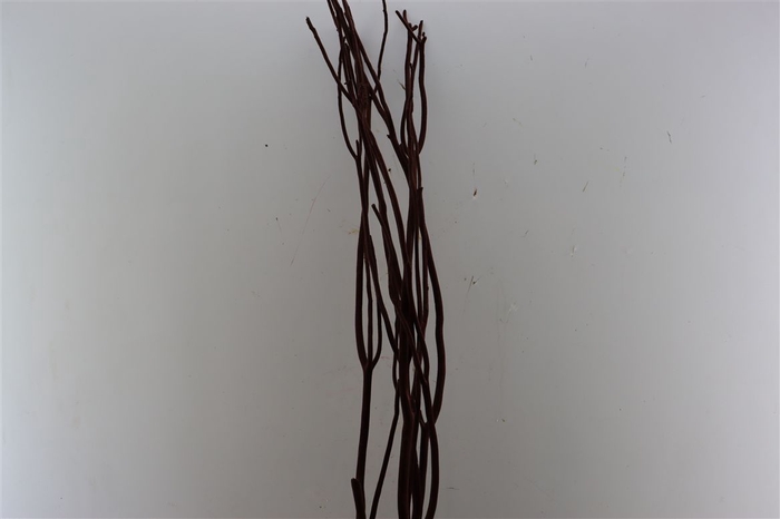 <h4>Mitsumata Flaked Brown Bunch 3pcs Bunch</h4>