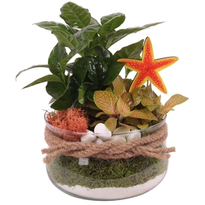 Opm Maritime Arr. Indoor Glass Bowl With Rope