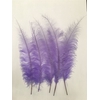 Feathers Ostrich 5 Pcs Lilac