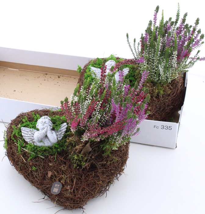 <h4>ARR TUINPLANTEN</h4>