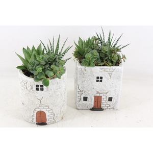 arr3 SN - Casa antique