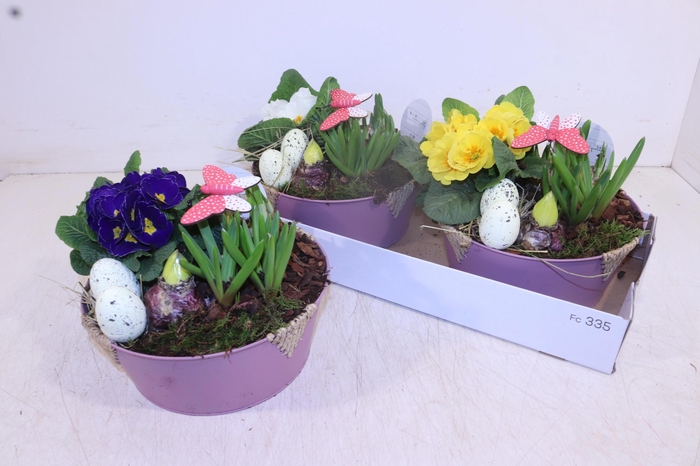 <h4>ARR TUINPLANTEN</h4>