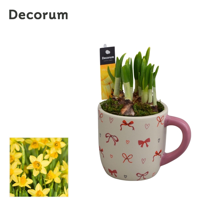 <h4>Narcis Cup of Cute GM HL15637</h4>