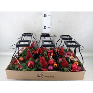 Planten ..in schaal H%