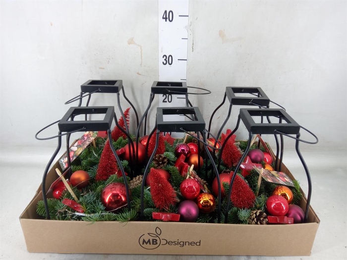 <h4>Planten  ..in schaal H%</h4>