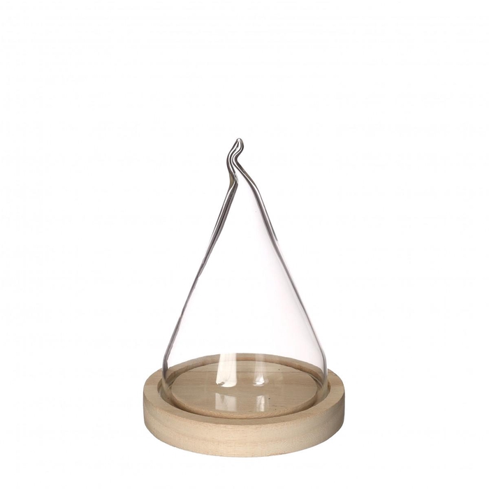 <h4>Glas Stolp Flame d10/12*17.5cm</h4>