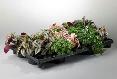 countrymix x10 10,5 cm