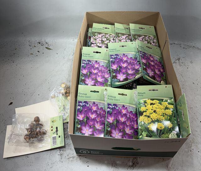 <h4>Flowerbulbs, corns or tubers   ...</h4>